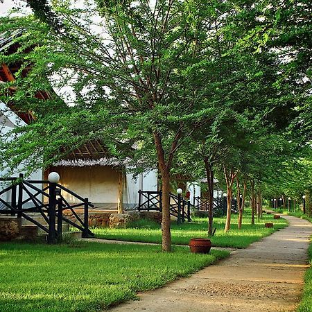 Manyatta Camp Hotel Voi Bagian luar foto
