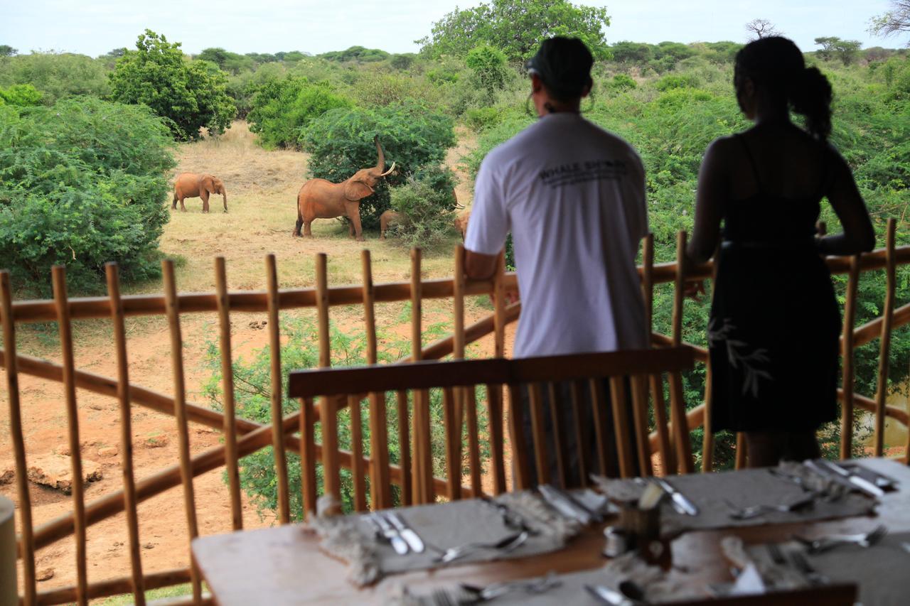 Manyatta Camp Hotel Voi Bagian luar foto